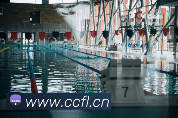 App Interface Preview