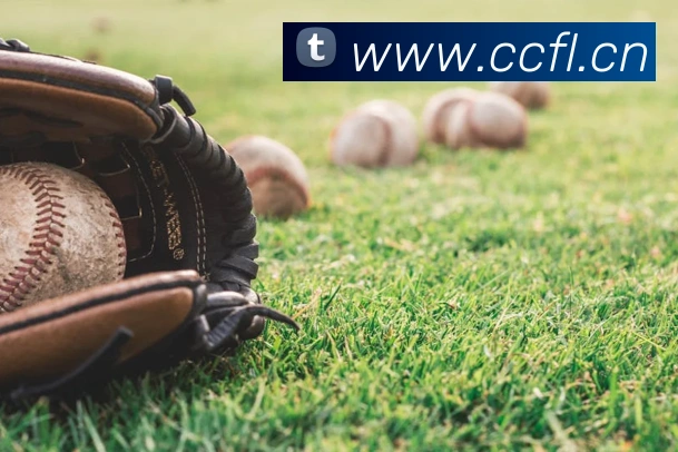 mksports在线登录入口APP 封面图